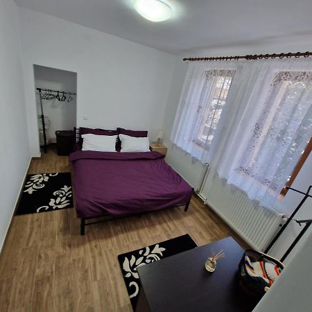 Apartamentul Florilor De Fan アズガ エクステリア 写真