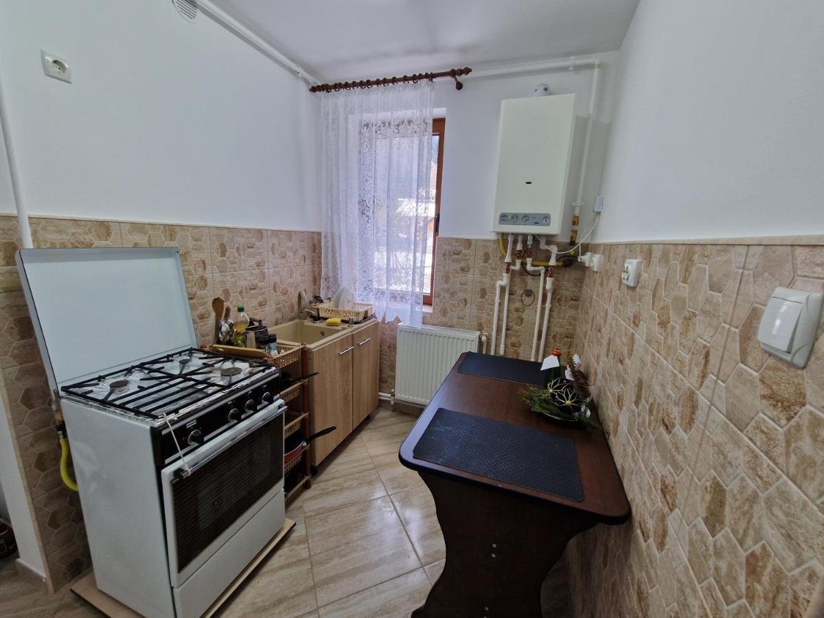 Apartamentul Florilor De Fan アズガ エクステリア 写真