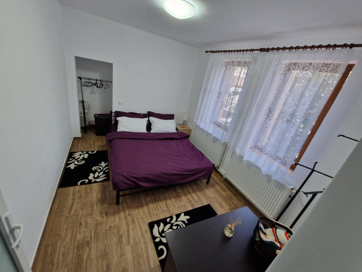 Apartamentul Florilor De Fan アズガ エクステリア 写真